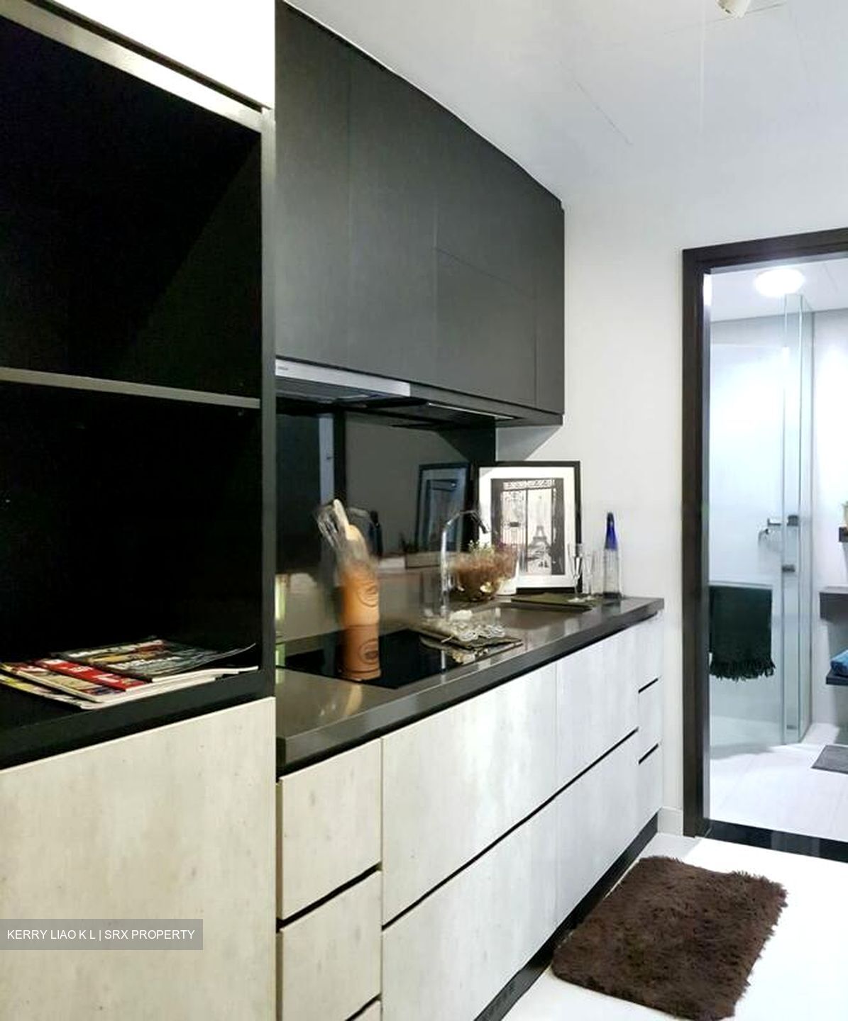 The Rise @ Oxley (D9), Condominium #451980881